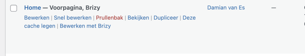Hoe Pas Ik Pagina'S Aan Die Zijn Gemaakt Met De Brizy Editor?