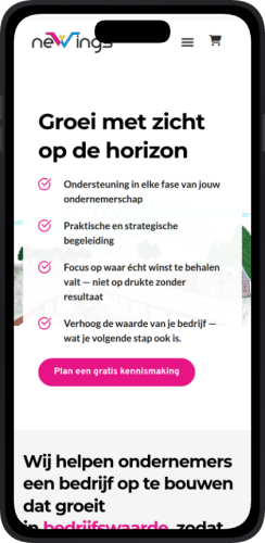 Een Multi-Channel Marketingaanpak Voor Newings